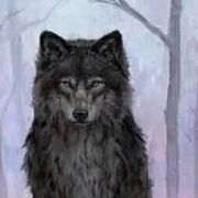 wolf203