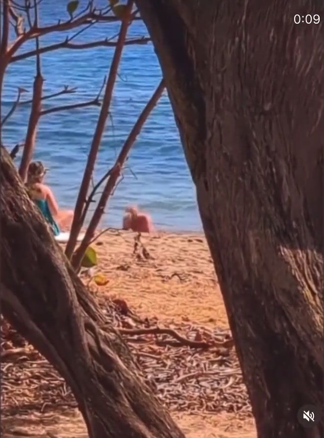 Britney Spears Nude on Beach - paparazzi filmed