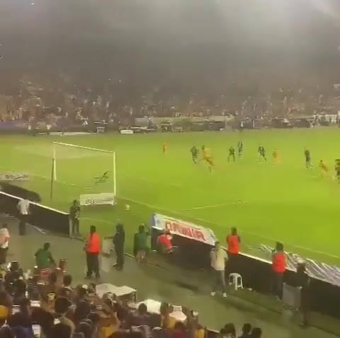 Football fan flashes after goal